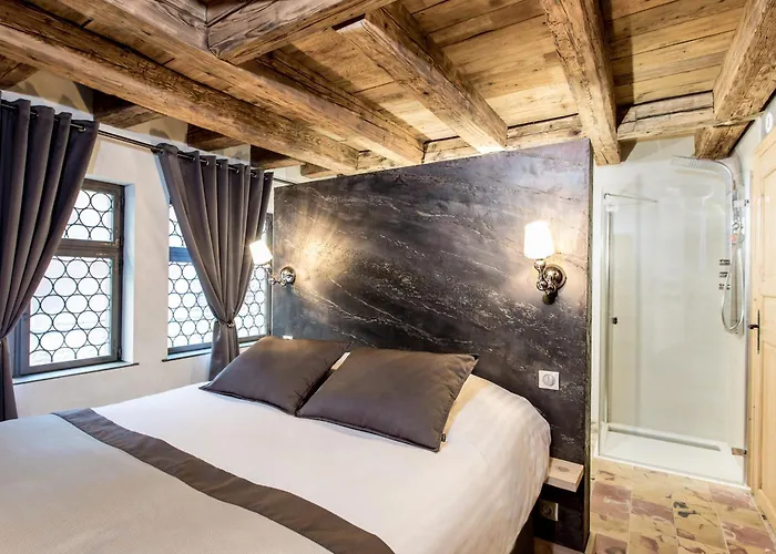 Le 1615 - Luxe Et アパート コルマール